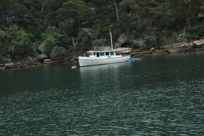 DSC_5478.JPG
