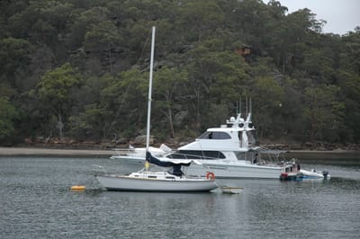 DSC_5486.JPG
