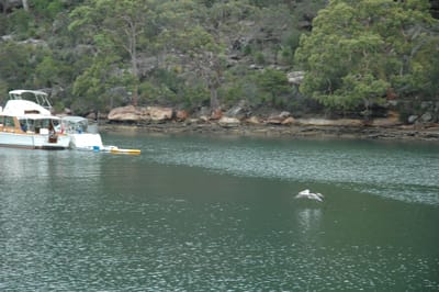 DSC_5492.JPG