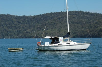 DSC_5513.JPG
