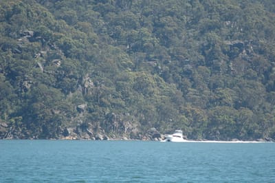 DSC_5516.JPG