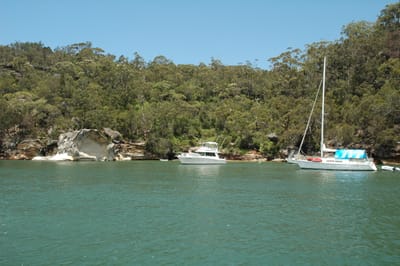 DSC_5526.JPG