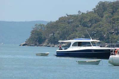 DSC_5528.JPG