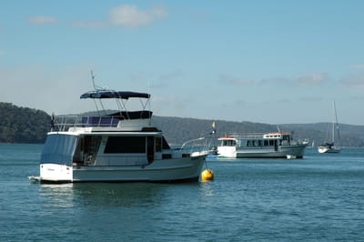 DSC_5548.JPG