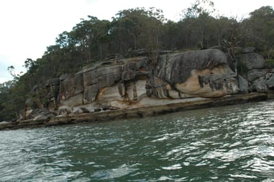 DSC_5553.JPG