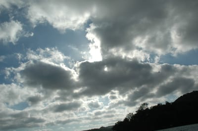 DSC_5564.JPG