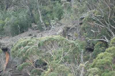 DSC_2372.JPG