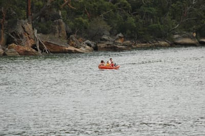 DSC_2374.JPG
