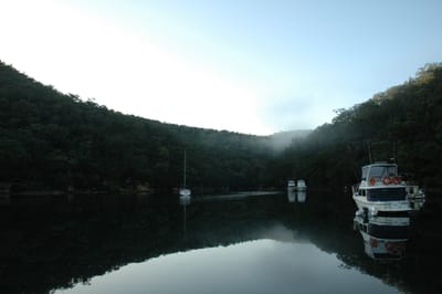 DSC_2395.JPG