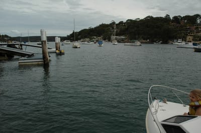 DSC_4013.JPG