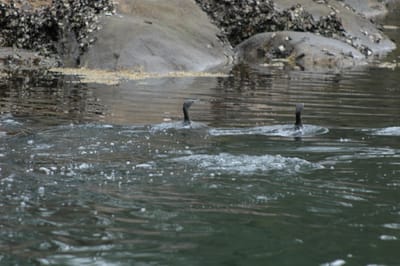 DSC_4015.JPG