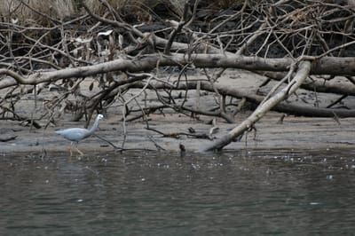 DSC_4018.JPG