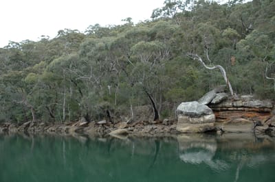 DSC_4025.JPG