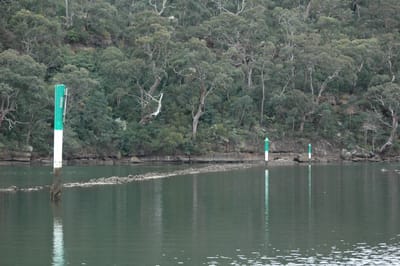 DSC_4028.JPG