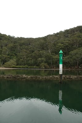 DSC_4029.JPG