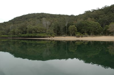 DSC_4035.JPG