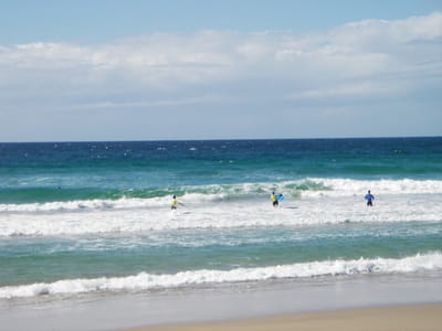 IMGP0218.JPG