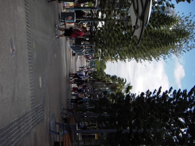 IMGP0222.JPG