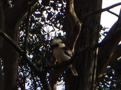 IMGP0289.JPG