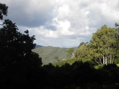 IMGP0298.JPG