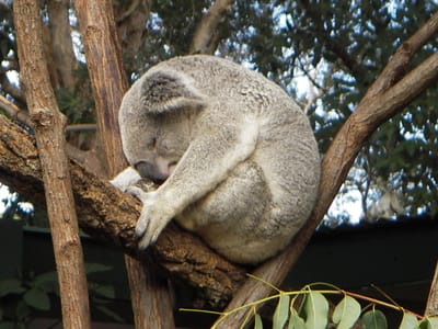 IMGP0303.JPG