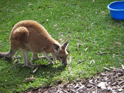 IMGP0328.JPG