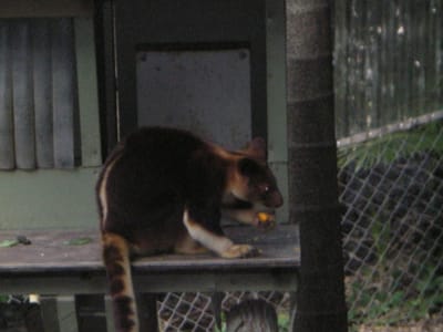 IMGP0347.JPG