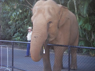 IMGP0411.JPG