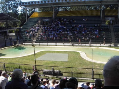 IMGP0419.JPG