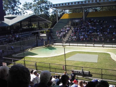 IMGP0420.JPG