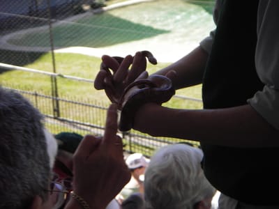 IMGP0423.JPG