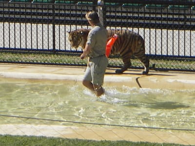IMGP0428.JPG