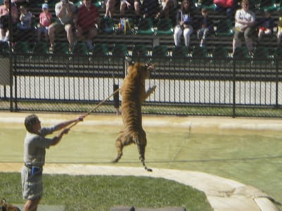 IMGP0431.JPG