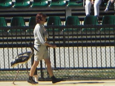 IMGP0448.JPG