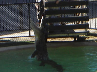 IMGP0454.JPG