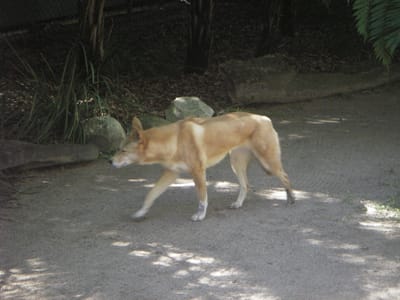 IMGP0468.JPG