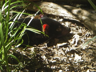IMGP0470.JPG
