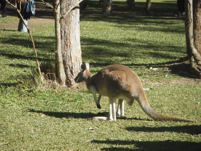 IMGP0475.JPG