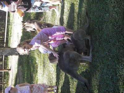 IMGP0478.JPG