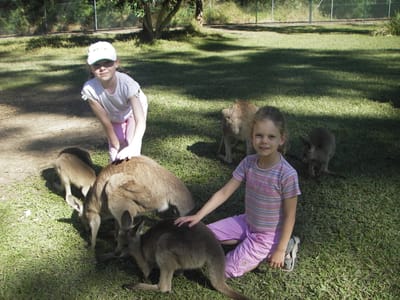 IMGP0480.JPG