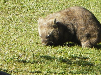 IMGP0492.JPG