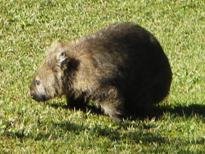 IMGP0493.JPG