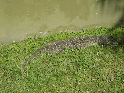 IMGP0501.JPG