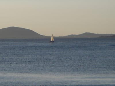 IMGP0520.JPG