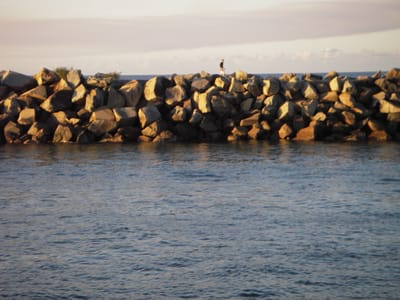 IMGP0526.JPG