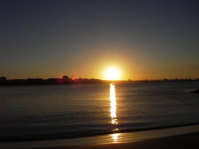 IMGP0528.JPG