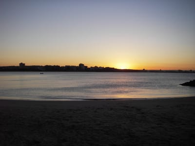 IMGP0537.JPG