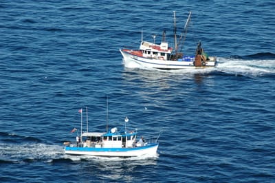DSC_3639.JPG