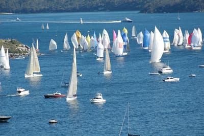 DSC_3646.JPG