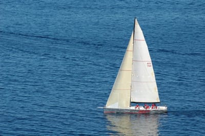 DSC_3650.JPG